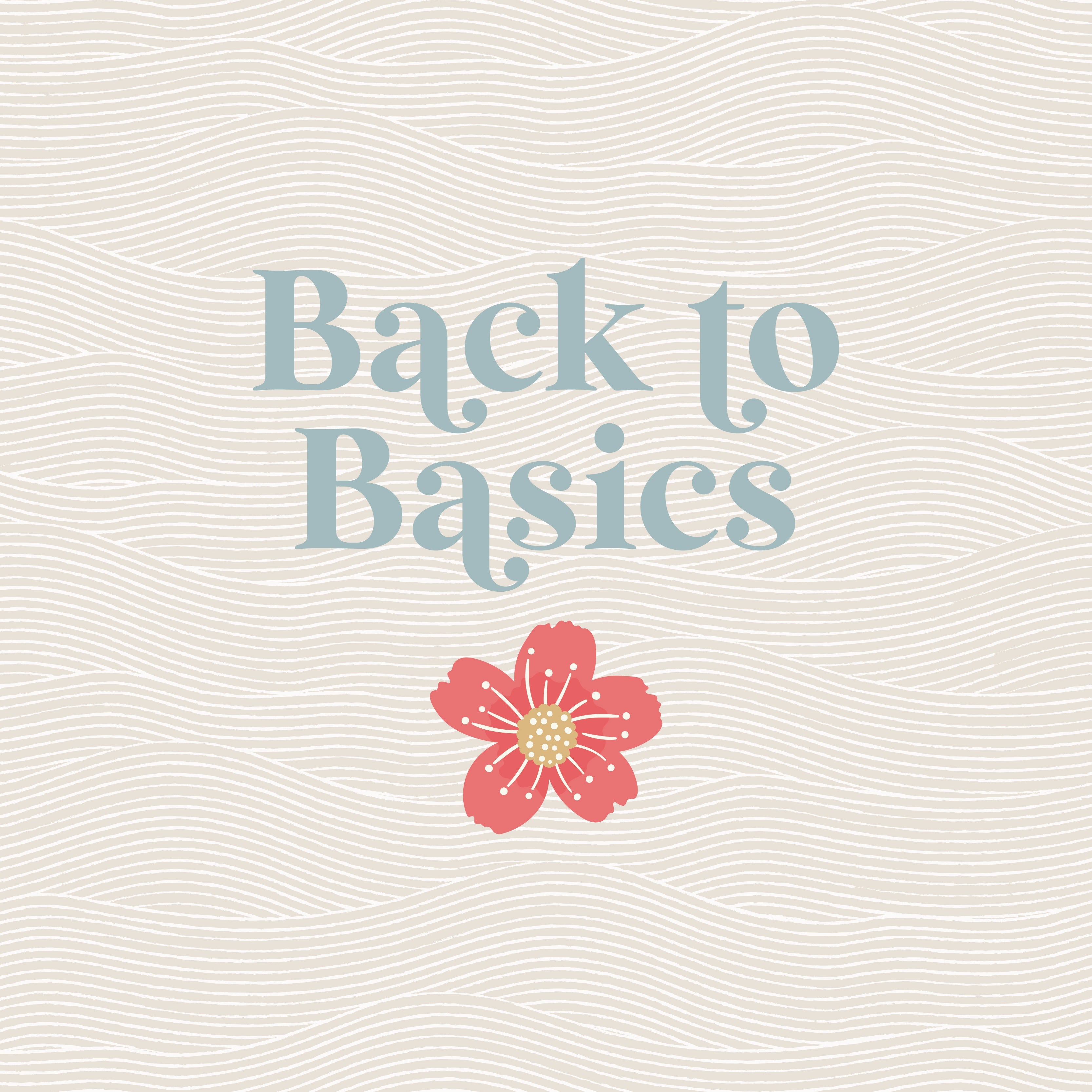 Back to Basics Collection