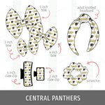 Central Panthers