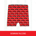Denman Falcons Basic Bikers