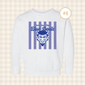 QHS Blue Devils | Toddler Size Crewneck Sweatshirts