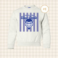 QHS Blue Devils | Youth Size Crewneck Sweatshirt