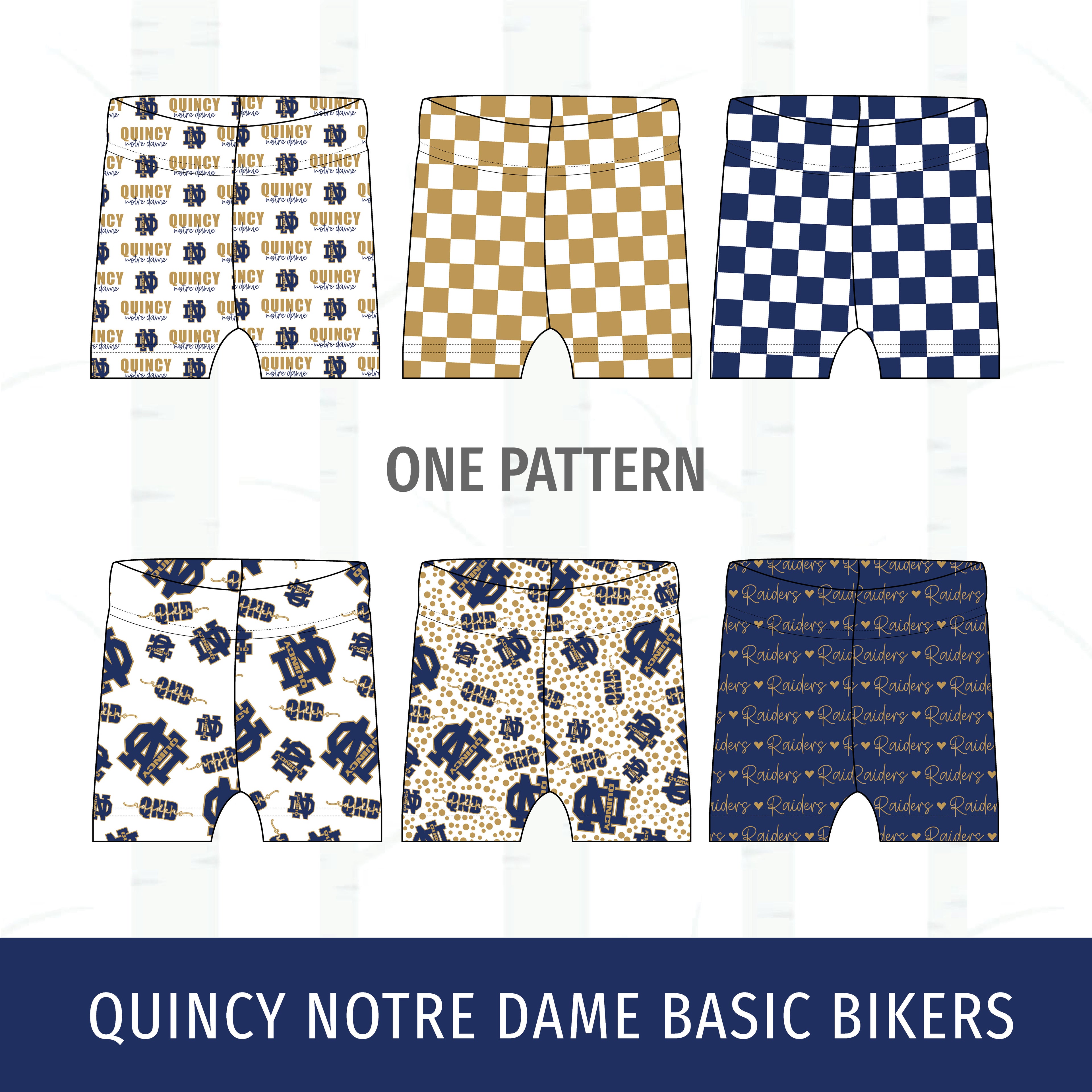 Quincy Notre Dame Basic Bikers
