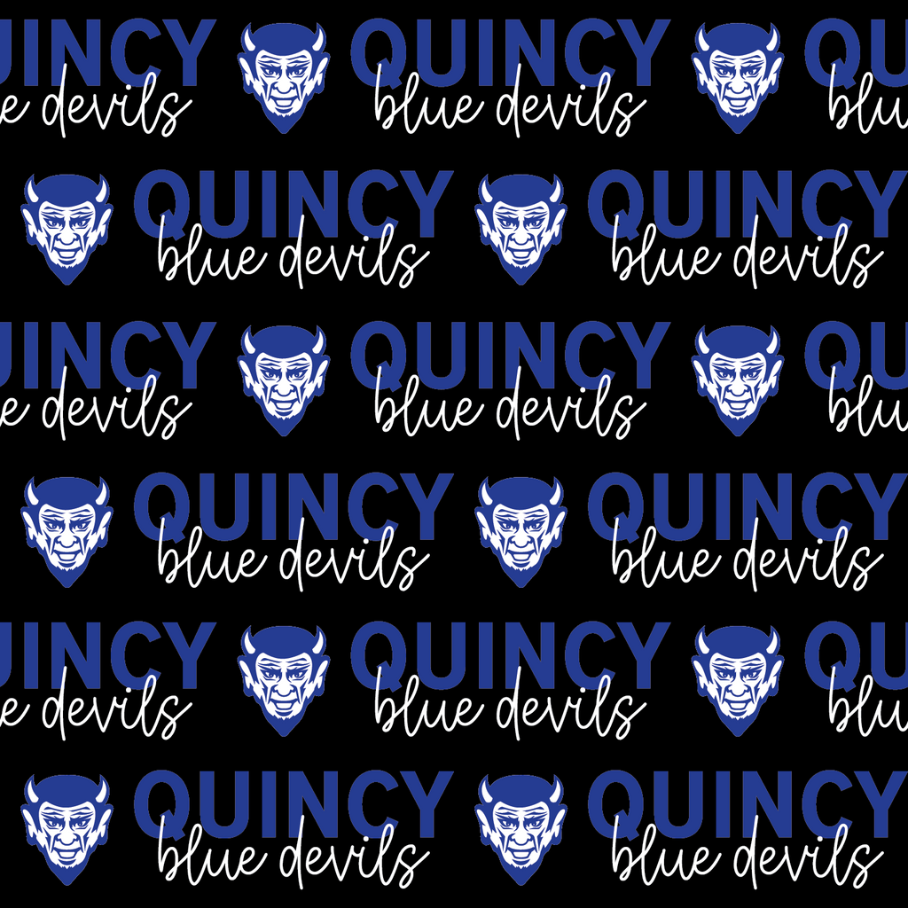 Quincy Blue Devils