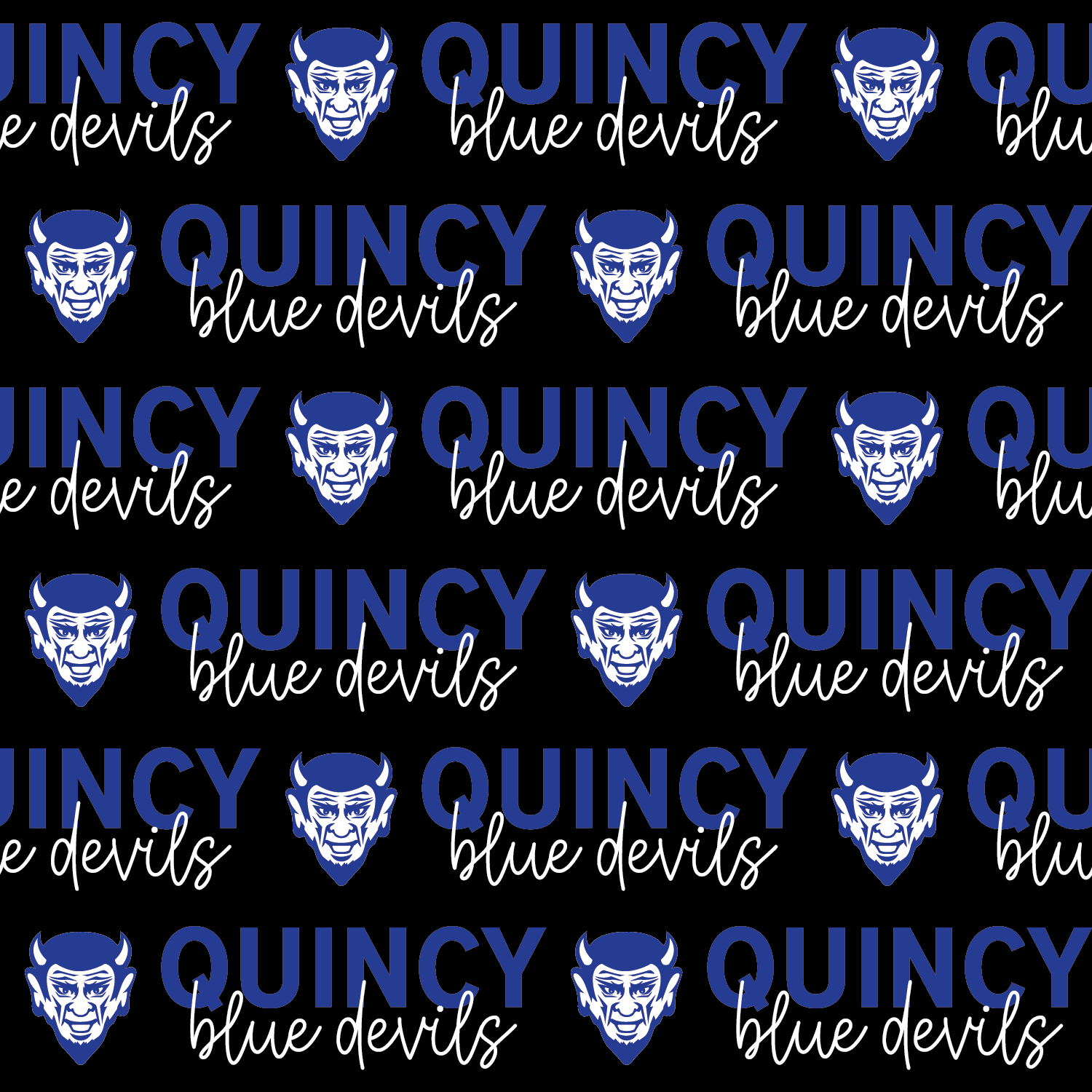 Quincy Blue Devils