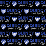 Quincy Blue Devils