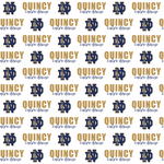 Quincy Notre Dame